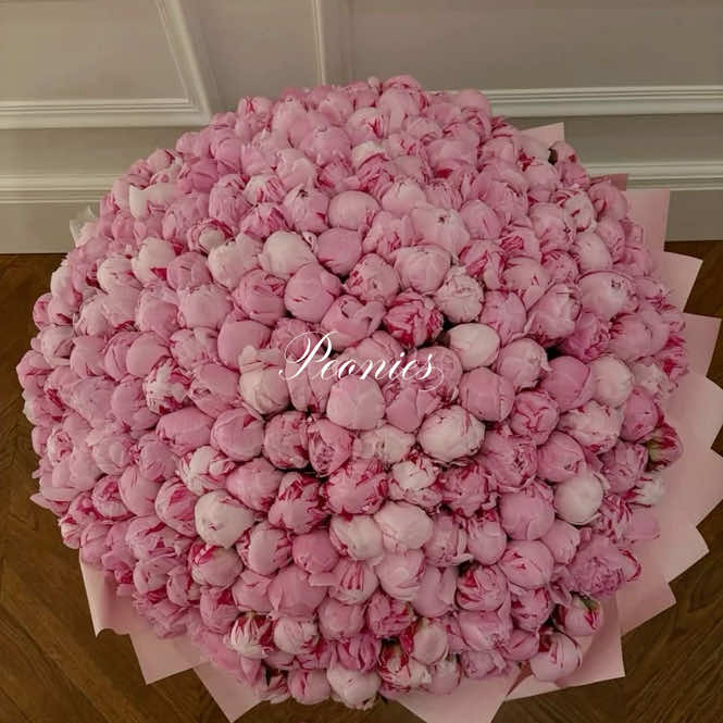 I love peonies  #peonies #flowers #Love #fyp #viral 