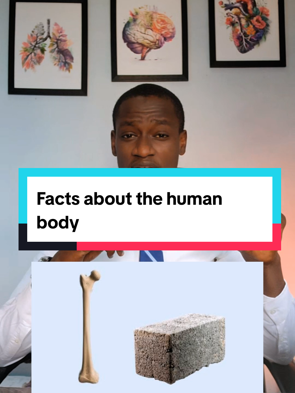 Facts about the human body.. #awareness #wellness #healthytips #Lifestyle #hausatiktok 