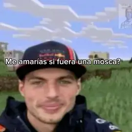 #maxverstappen #checoperez #chestappen #ojalasebesen #losamo 