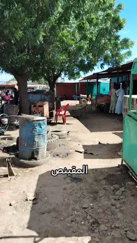 #جبل_المقينص🌺☘️ 