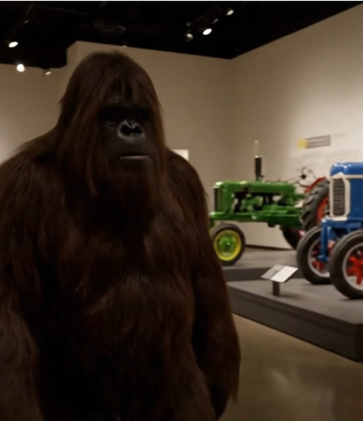 Plantation Special 😛 #bigfoot #vlogs #bigfootvlog 