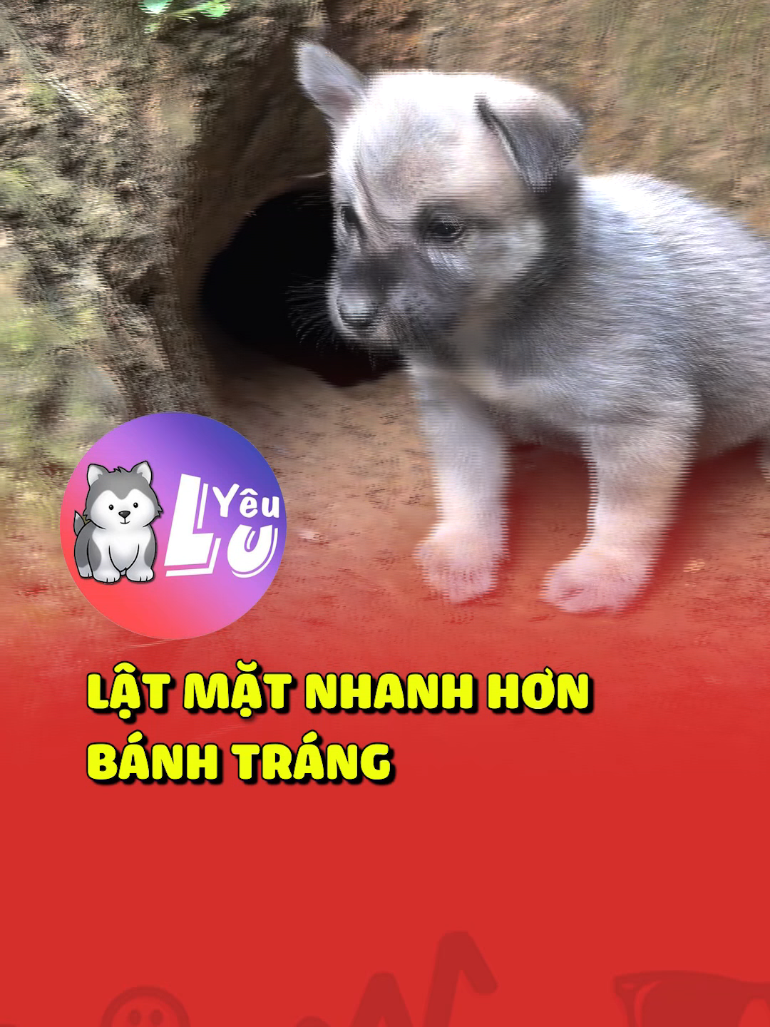 Lật mặt nhanh hơn bánh tráng 😂 #shorts #yeulu