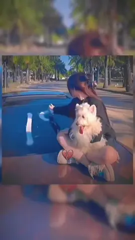 #mrbombastic #fyp #magic #positivity #viral 