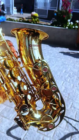 🎷B😘E❤️L😍L🔥E❤️Z😍A🎷 #saxofonYamaha  #logopurpura #preciosura #saxitodemivida🎷❤️ #fersax 