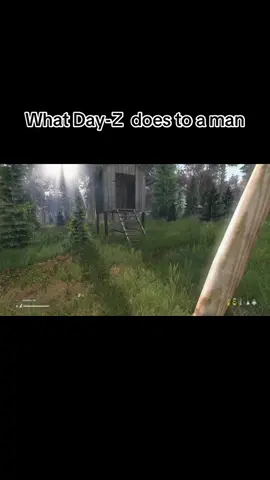 #dayz #dayzmoments 