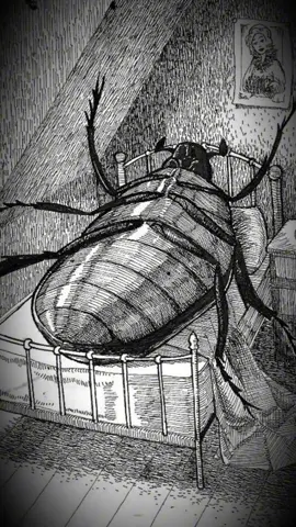 Livro: A Metamorfose (Kafka)  “Quando Gregor Samsa descobriu que havia se transformado em um inseto, sua primeira preocupação não foi o horror da metamorfose, mas o medo de se atrasar para o trabalho. #kafka #literatura #livros #reflexaododia 