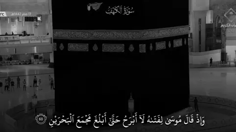 مُستحيل أقَدر أوصِف جَمال سَورة الكَهِف تأريخية😣#ماهرالمعيقلي #سوره_الكهف #قران_كريم #ايات_قرانيه_تريح_القلب #مكه_المكرمه_المملكه_العربيه_السعوديه 