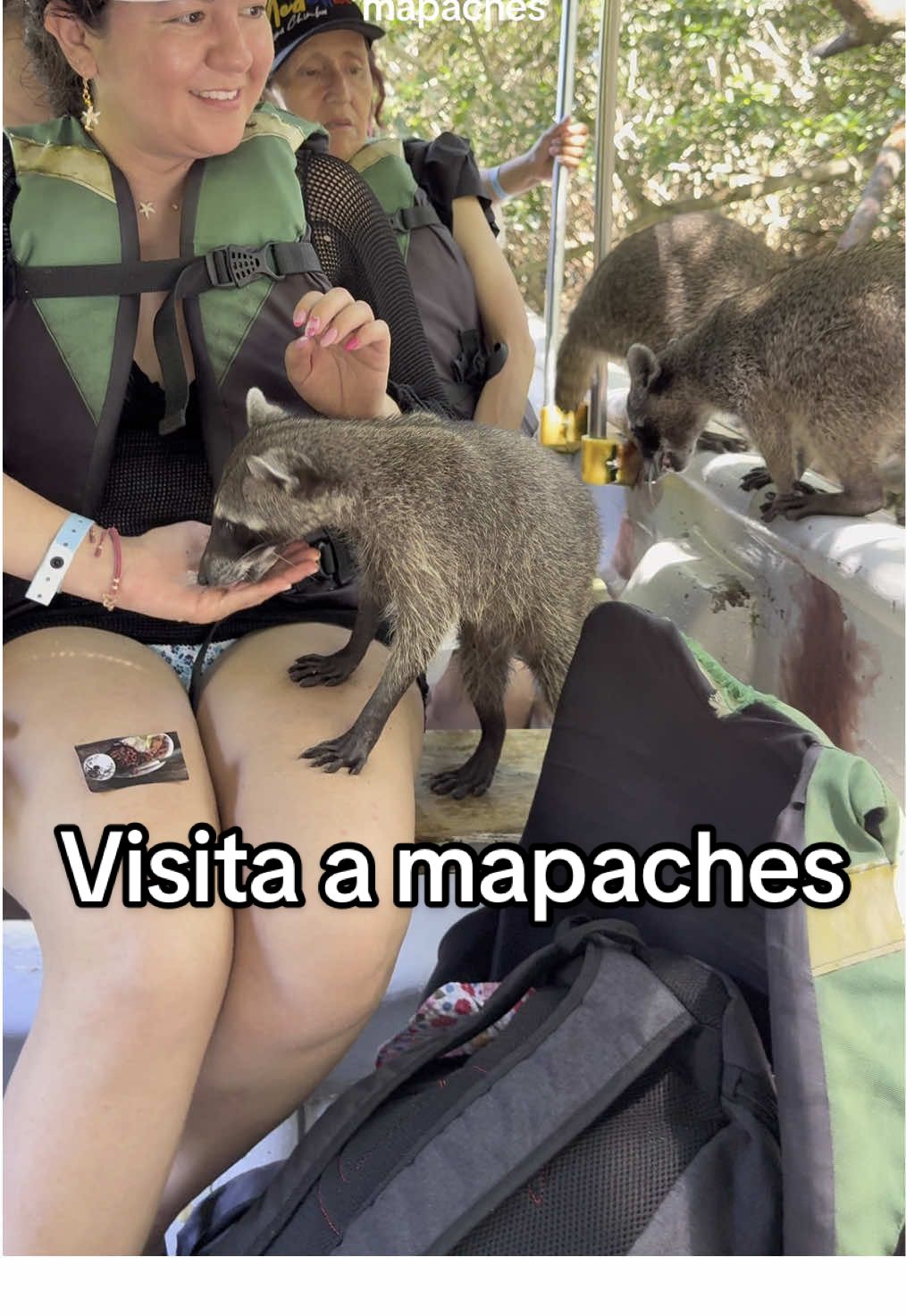 ¿Quieres vivir esta hermosa experiencia?  Contáctanos 📲 . . . . . #cartagenadeindias🇨🇴 #turismo #viajeros #pasadiacartagena #mapaches #mapachescartagena #playablanca #islabaru 