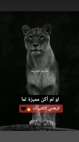 🦅الفارسه العنيده 🦅#كلماتي_للعقول_الراقية_فقط #تصميمي_اقتباساتي #كلمات_قوية_شامخه #سوريا_تركيا_العراق_السعودية_الكويت 