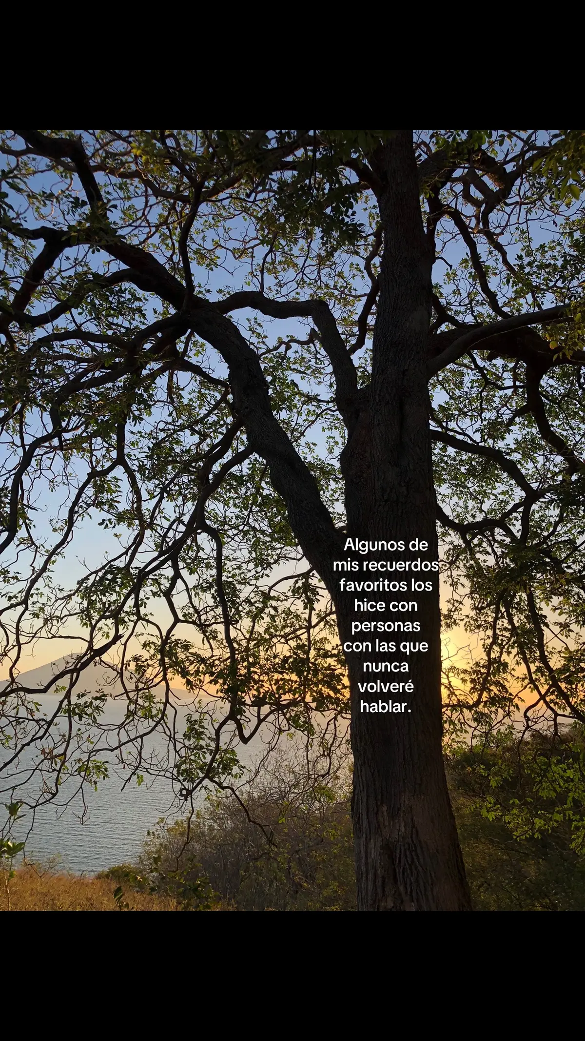 #paratiiiiiiiiiiiiiiiiiiiiiiiiiiiiiii #reels #fyp #online #inspiration #todoelmundo #viral #nostalgia 