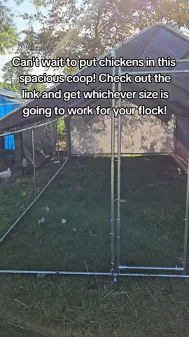 I desperately needed a new coop to put chickens in. This is spacious and easy to put together! #chickens #coop #chickencoop #chickensoftiktok 