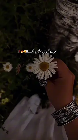 Tu Aja Tu Aajaa🤌🥹❤️‍🩹! #song #lyrics #aesthetic #lyricsvideo #status #statusvideo #fyp #Love  #viral #foryou #missyou #sad #tiktok #aesthetic #tiktokpakistan #foryoupage #viral #lahore #punjab #sindh #fyp #viral  #karachi #sadstory #sad #music #viral #fyp #viral #bismilarfat17 #100kviews #lovepakistan🇵🇰 #lovetiktok #goviral #heartbroken #song #growupmyaccount #dontunderreviewmyvideo #plzdontunderviewsmyvideos #foryoupage #grow #hashtag #explore #viral #couple #reels #couplereels #fyp #1millionviews #fyp #soulful_17 #meemse_17  #viral #fyp #1millionaudition #viral #fyp #fyp  #CapCut 