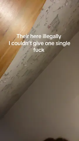 #immigration #immigrants #viral 