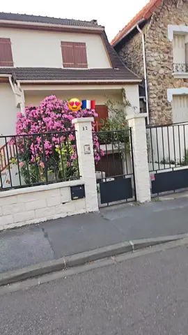 #fyp #France 🇨🇵😍