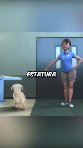 Ele provou que até um cachorro pode mudar seu destino 🐕✨ #filme 