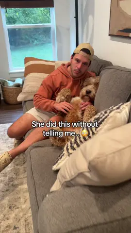 his lump is almost completely gone after a month #dogsupplements #olddog #doghealth #turkeytailmushroom #dogmom 