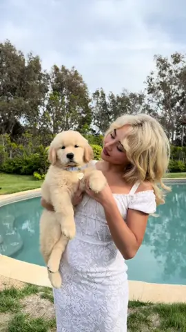 See you at midnight!