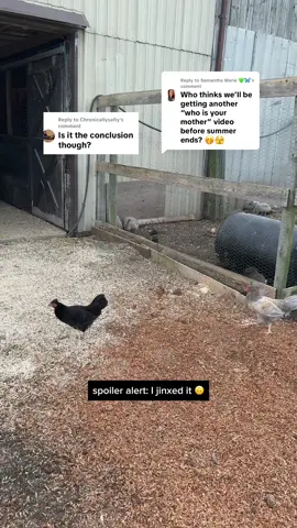 Replying to @Samantha Marie 💚🦋 ope spoke too soon 🫢 #skynuggets 