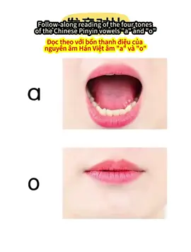 Follow-along reading of the four tongs of the Chinese Pinyin vowels”a” and “o”#汉语 #learnchinese #hsk #chineseteacher #pinyin 
