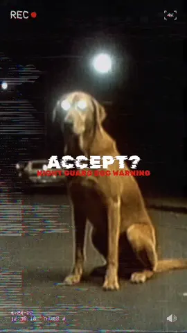 Your dog isn’t just a pet… he’s your protector against what hides in the dark. 🐕🌑#Creepydog  #Horror  #nightguard  #scarystories  #Channel33