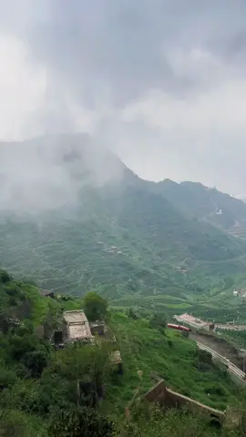 مزارع البن الخولاني السعودي التابعه للشركة السعودية للقهوة في جبل طلان محافظة الداير بني مالك☕️ #اكسبلورexplorepage #الداير_بني_مالك #قهوه #coffee 