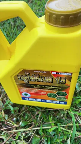 #(ยกลง) (6 แกลอล) กลู โฟซิเนตแอมโมเนียม ขนาด 4 ลิตร (ตราต้นไม้) (วัชพืช ทั้งใบแคบ ใบกว้าง 