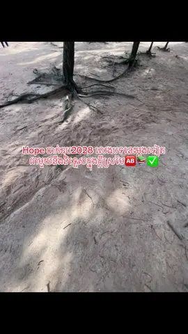 Hope2028 ត្រឹមCក៏បាន🤍🥺#បាក់ឌុប2028📚🖋🗓 #ធ្លាក់like💔🙃 #ដៃគូបង់ប្រាក់💰💸 #fypシ 