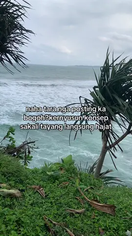#storysunda #barudaksunda #sundakeun❗️ #sunda #katakatasundafyp 