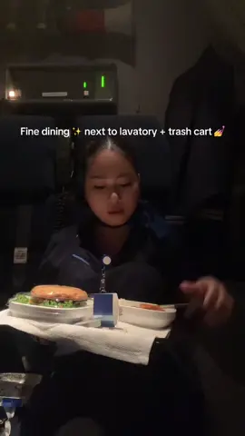 Who said airplane food sucks? 🤣💋