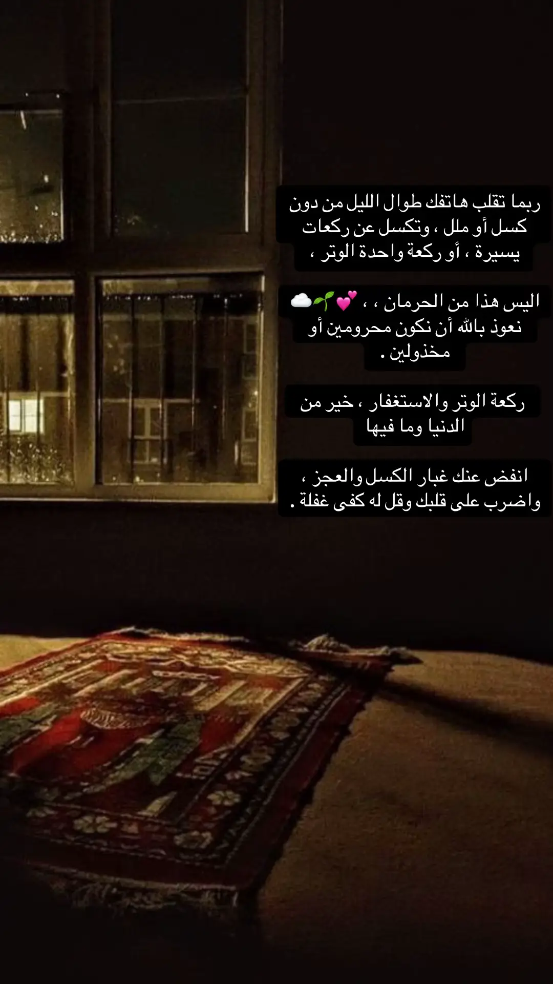 #الوتر #يوم_الجمعه #اكسبلور #ترند #explore 