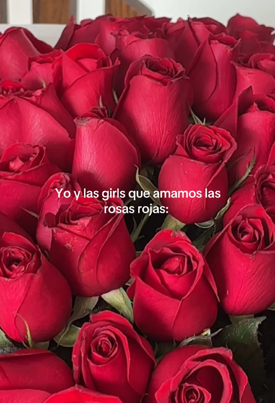 Amamosssssss 🌹✨ #viral #tiktokflores #paratiiiiiiiiiiiiiiiiiiiiiiiiiiiiiii #flpシ #rosasrojas 