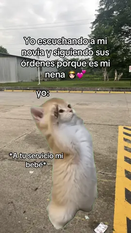 #MemeCut #Meme #MemeCut 