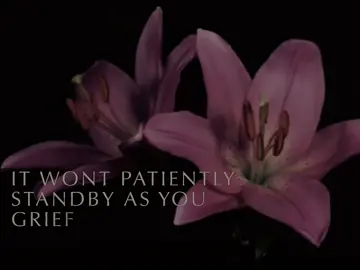 had to do this trend w rengoku 🥲✌️💔 | #anime #demonslayer #fyp #rengokukyojuro #kny | credits: elmistique |