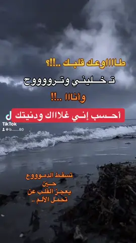 #يارفيقـاً يشبه قلبي..