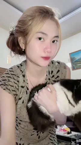 lucu khan