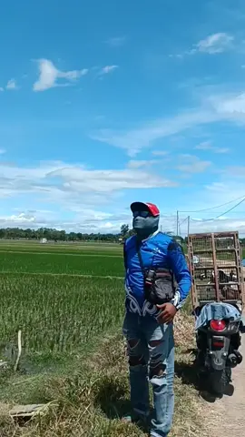 jangan ya dek ya 300k cuman dpt burung piyik no trah...klo di karoke 300k full servis,intine jek larang daraku ro regane mbak mabk sing mulus di umbar