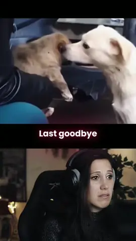 Last goodbye😢 #sad #emotional #mothersonlove #motherlove #doglover 