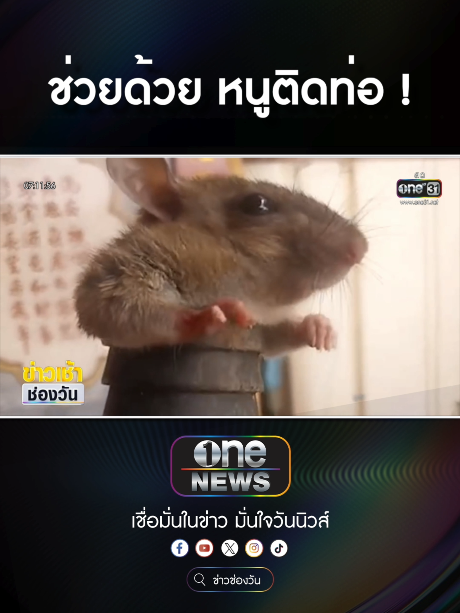 เจ้าหนูจอมซน มุดข้อต่อท่อน้ำ-ออกไม่ได้    #ข่าวช่องวัน #ข่าวtiktok #สํานักข่าววันนิวส์ #one31news #ข่าวเช้าช่องวัน  เชียร์พรีเมียร์ลีกจอใหญ่สะใจกว่ากับ AIS 3BB FIBRE3 สะใจกว่า💥 เน็ตแรงเต็มสปีด ให้ดูพรีเมียร์ลีกสดครบทุกแมตช์และความบันเทิงอีกมากมาย . *เงื่อนไขเป็นไปตามที่บริษัทฯ กำหนด . #PremierLeague #AISPLAY #AIS3BBFIBRE3