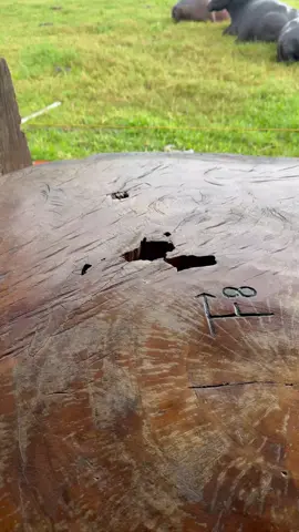 #amanecer #llano #tinto #cafe #amanecerllanero 