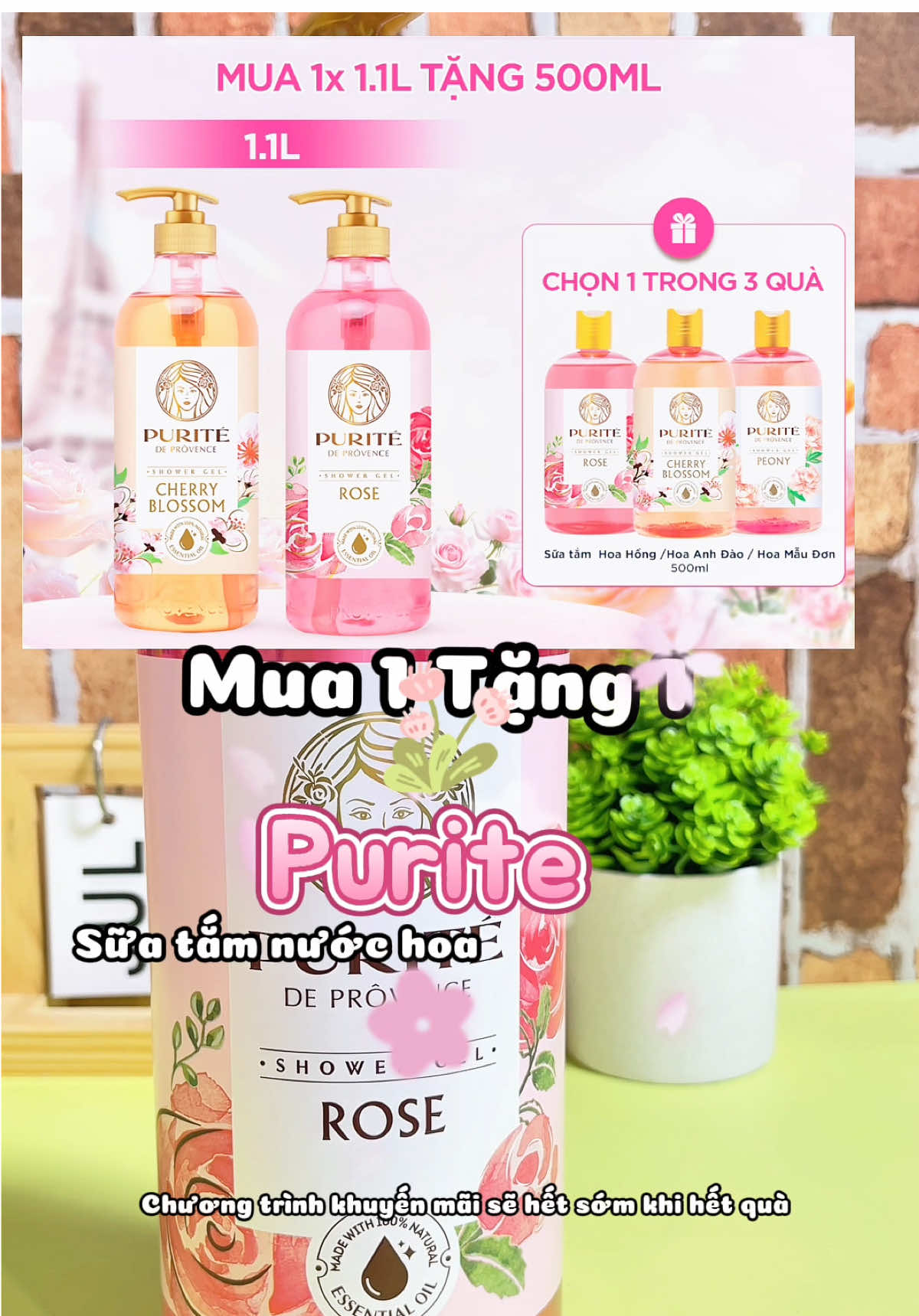 Sữa tắm hương nước hoa Purite mà tui siu mê #purite #duongsangda #suatam #thuhatrendy #suatamhuongnuochoa  @Thu Hà Trendy 