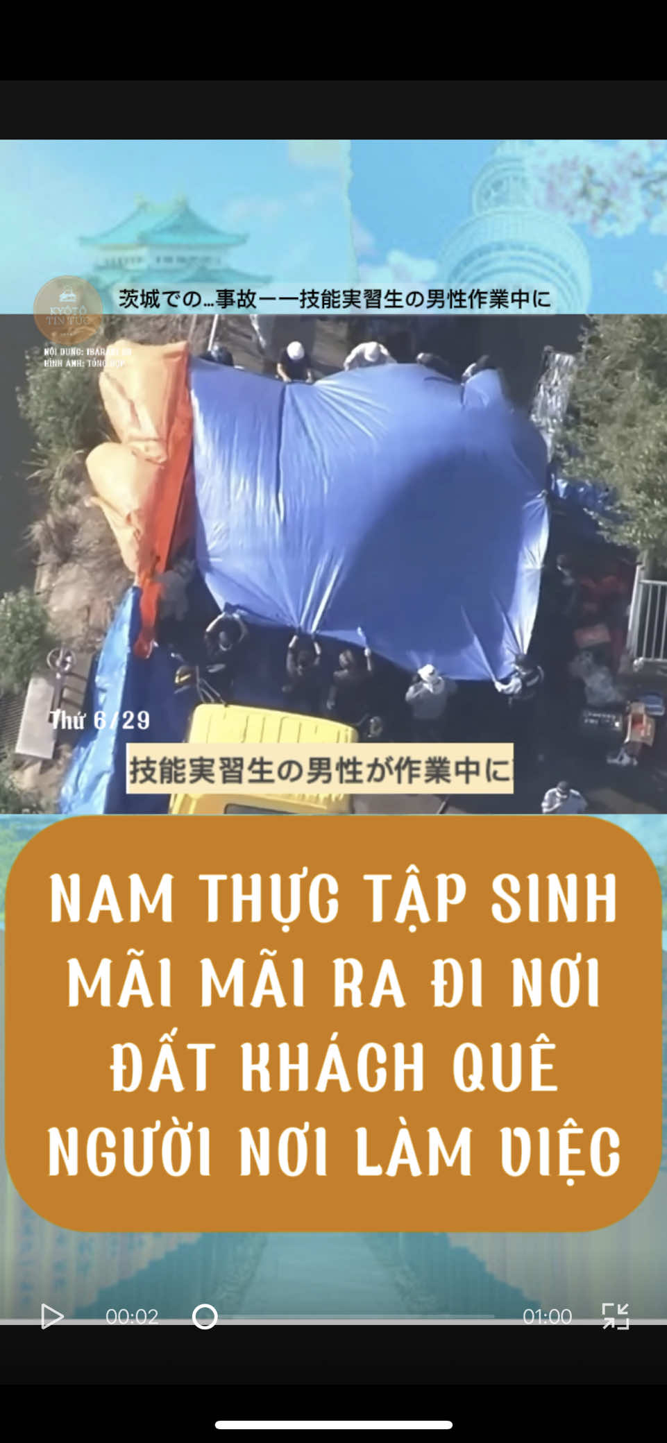 #tiktoknews #nhatban #vietnam #nguoivietonhat 