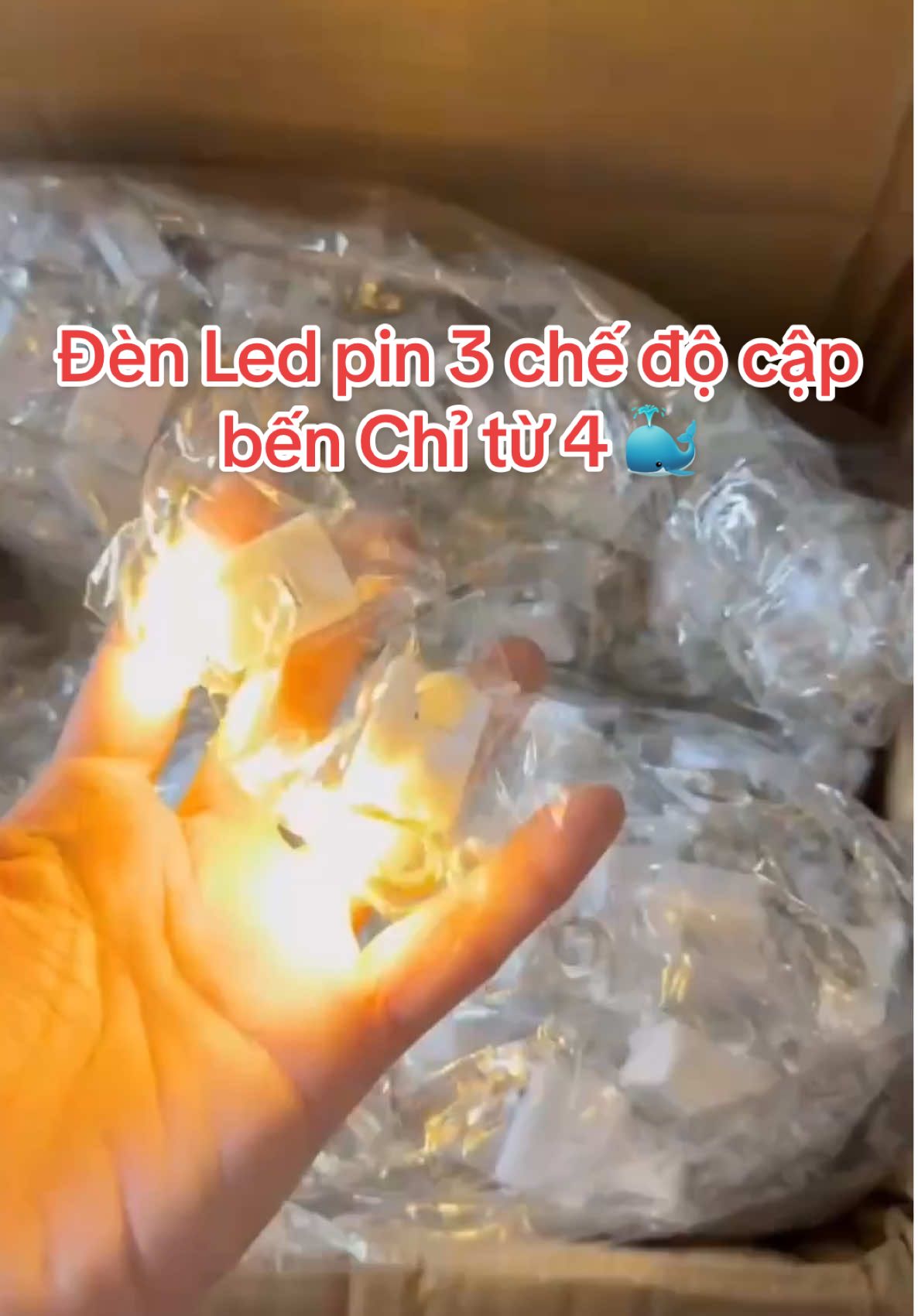 Chỉ từ 4🐠 thôi nhanh tay nha cả nhà ơi#đen #led #trungthu #trangtri 