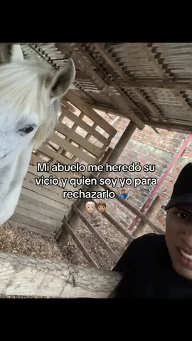 #593 #caballosfinos #viral_video #like #mujerhermosas 