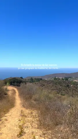 ✨