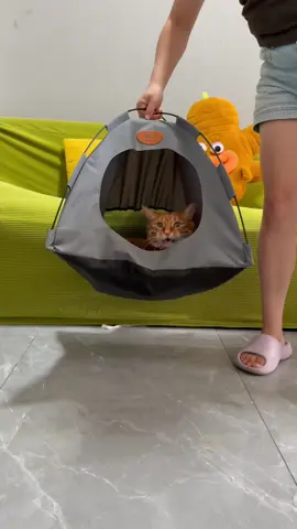 This tent could be my best purchase on 2025👍😭#catslovers #catsoftiktok #catbed #cattent #christmasgiftideas 