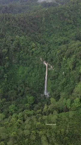 Cughup Perampang Mardapan memiliki ketinggian kurang lebih 120 Meter dan menjadikanya salah satu air terjun tertinggi di Tanjung Sakti, Lahat . Cughup ini terletak di Kaki Gunung Dempo dan Bukit Barisan, kawasan perkebunan kopi perbukitan Talang Mardapan Desa Gunung Ayu Kecamatan Tanjung Sakti Pumu Kabupaten Lahat. Untuk menuju lokasi Cughupnya tidaklah mudah dikarenakan akses jalan belum ada , jadi kita buka jalur atau buat jalan sendiri dengan trek Bukit barisan, Tepian Jurang Extreme , Hutan Beduri dan Susur Sungai deras.  Note.  1.Untuk menuju lokasi Talang Mardapan kita bisa jalan kaki dari Desa dengan trekk perbukitan kurang lebih 3 Jam atau bisa makai motor kebun selama kurang lebih 40-1 Jam 2.Dari Talang Mardapan untuk menuju lokasi Air terjuny jalan kaki sekitar 1 Jam , dan tidak ada akses jalan , alias terabas hutan belantara #tanjungsakti #lahat #sumsel #sumseltiktok 