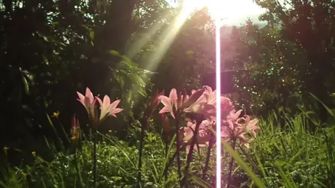 when the sun hits #slowdive #nostalgia #y2k #shoegaze #digicam 