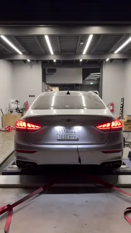 تفك فصله ولا تزود احصنه وش راح يكون اختيارك ؟ #بلو #blo 