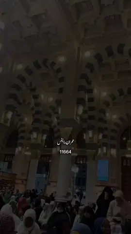 Unki Ki Amad Key Piyami Hein Saba Ke Jhonkey ❤️ #12rabiulawal #miladunnabi #rabiulawalstatus #islamicstatus #foryoupage