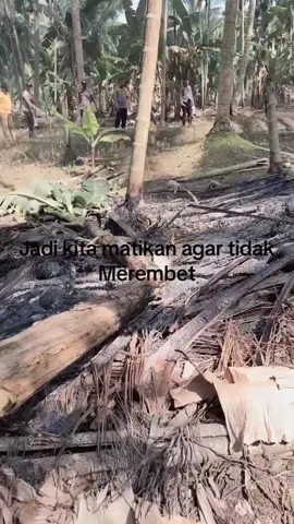Ini bukan Kebarakan Lahan ya Gaes, ini bakaran sampah ranting dan pelepah daun kelapa bisa dilihat di video. Tapiiii, kalau ini tidak di tunggu bisa merembet jadi kebakaran lahan karena pada saat itu hari panas dan angin bisa di katakan sering kencang bisa membuat api beterbangan ke lahan kosong yang kering. Jadi jangan di remehkan ya pembakaran sisa-sisa sampah di kebun harus ditunggu hingga apinya mati dan di siram air agar tidak ada sisa api. Harus tetap waspada ya semua pemilik kebun. Pemilik lahan kosong tidak boleb membuka lahan dengan cara membakar ya 🙏😁 #bhabinkamtibmas #bubhabin #laporbubhabinnipah #ketahananpangan 